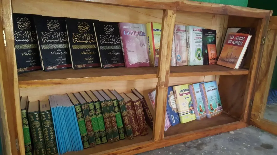 A library stocked with books